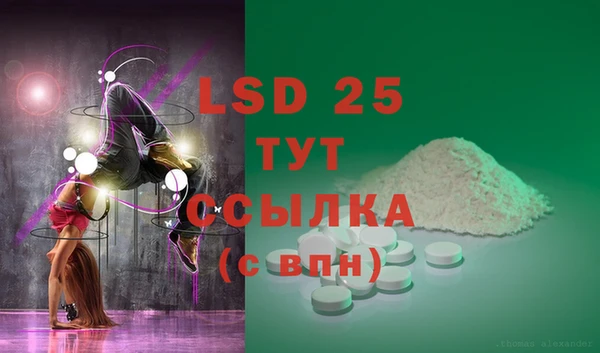 ECSTASY Елизово