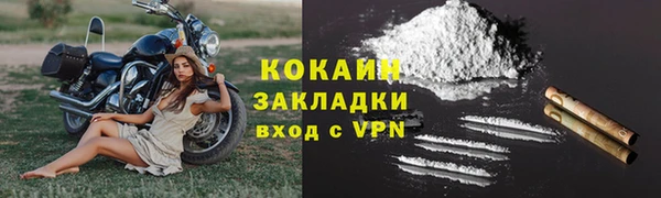 прущая мука Дмитриев
