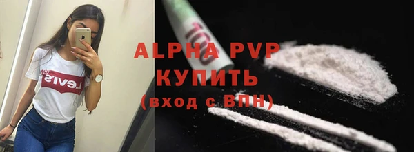 ECSTASY Елизово