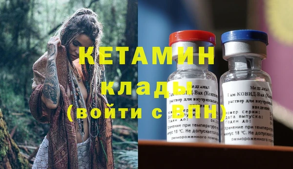 стаф Ельня