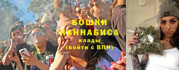 стаф Ельня