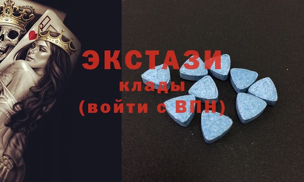 стаф Ельня