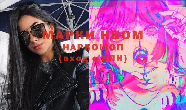 стаф Ельня