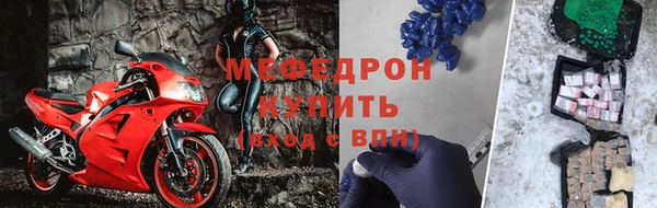 стаф Ельня