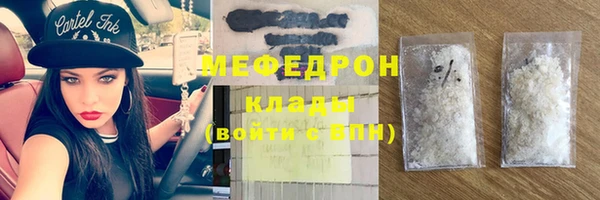 стаф Ельня