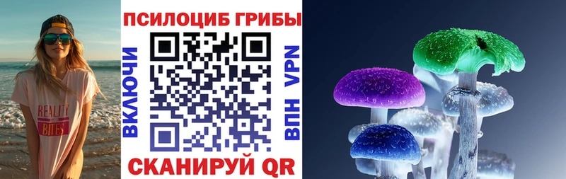 Галлюциногенные грибы Psilocybine cubensis  Купить  Окуловка 
