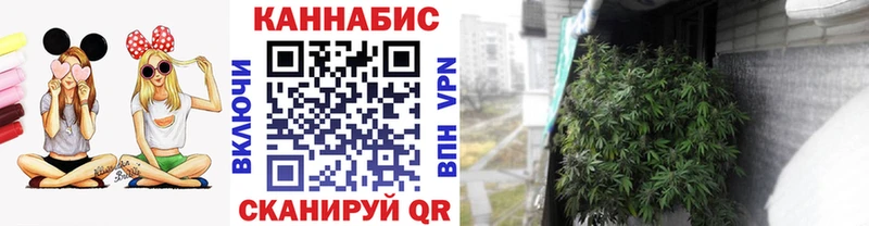 Каннабис MAZAR  Купить  Окуловка 